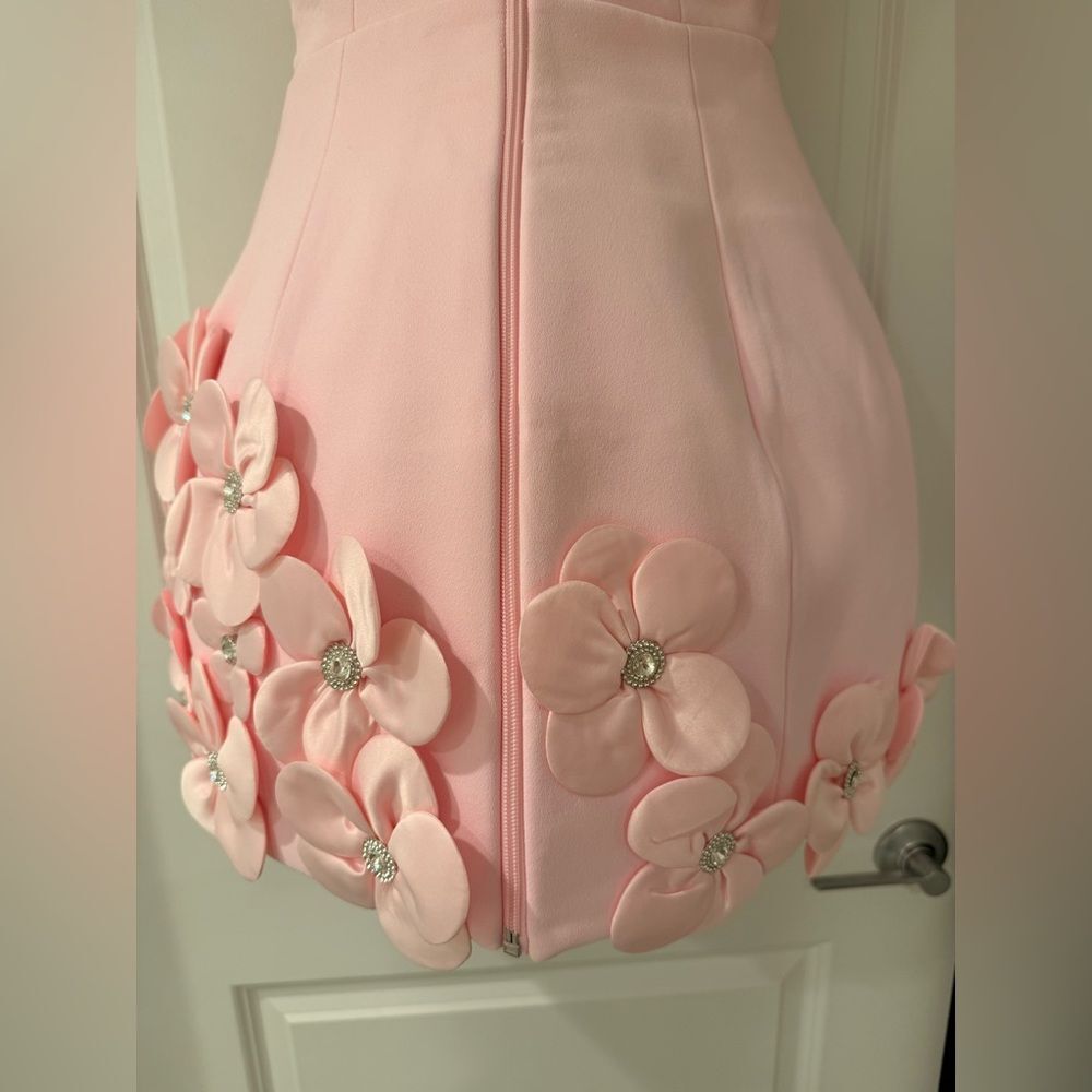 NWOT BRONX AND BANCO Estelle Blush Mini Dress ,Elegant Pink Floral - Picture 12 of 15